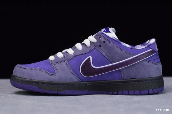 BV1310-555 Concepts Dunk Low SB Lobster Purple Nike 1008